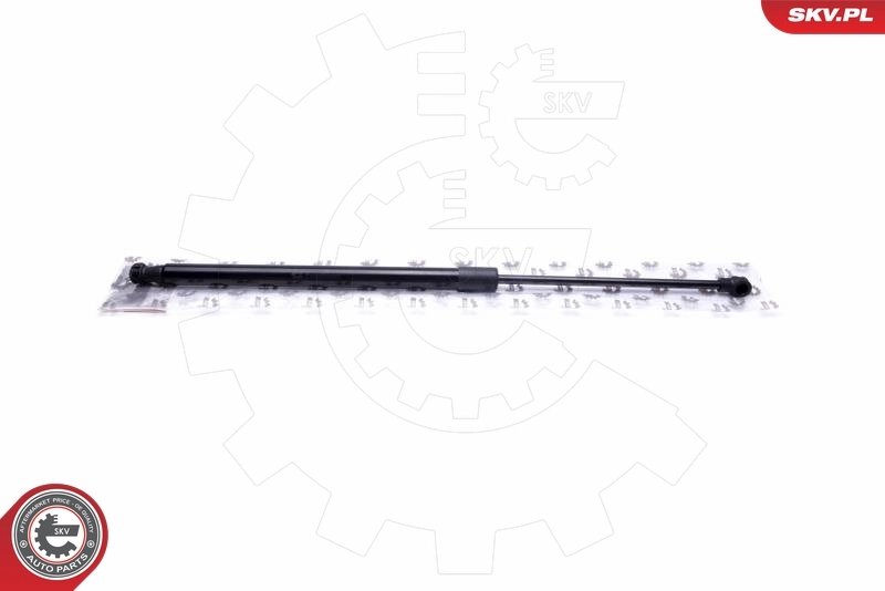 Gas Spring, boot/cargo area
